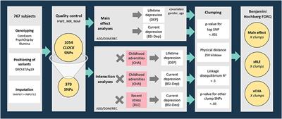 Every Night and Every Morn: Effect of Variation in CLOCK Gene on Depression Depends on Exposure to Early and Recent Stress